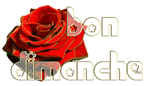 Gif animé Bon dimanche rose rouge